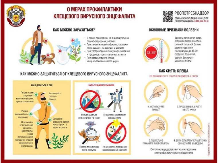 В чем опасность укуса клещом?.