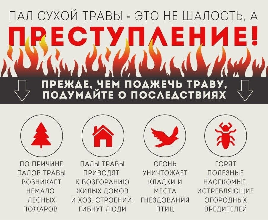 Пал сухой травы.