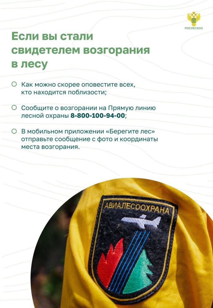 Пожарная безопасность в лесу: преступление и наказание