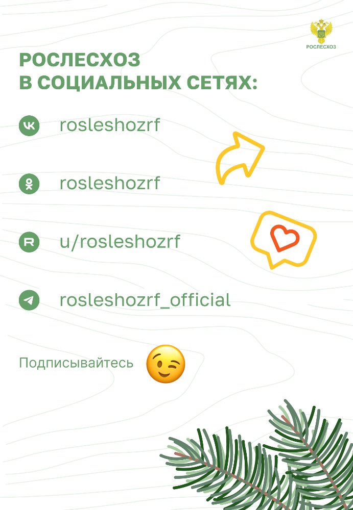 Пожарная безопасность в лесу: преступление и наказание