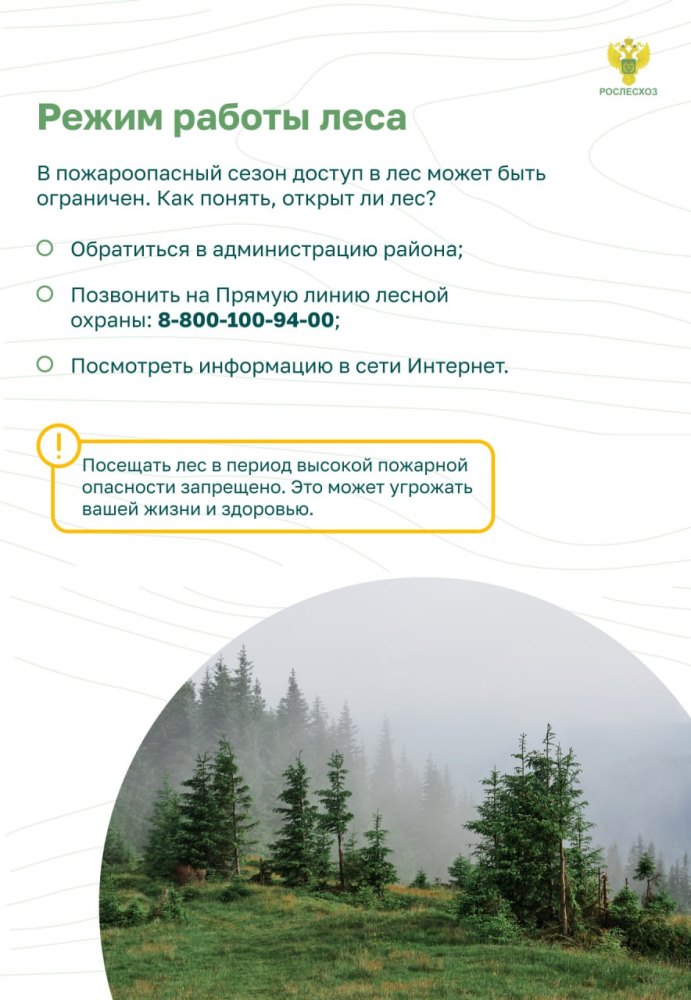Пожарная безопасность в лесу: преступление и наказание