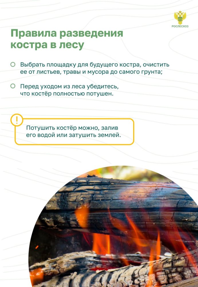 Пожарная безопасность в лесу: преступление и наказание