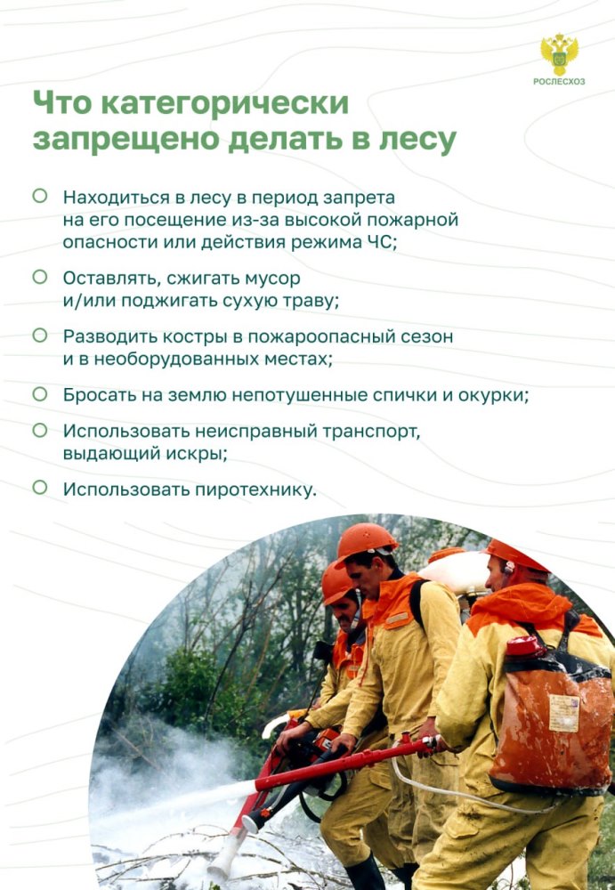 Пожарная безопасность в лесу: преступление и наказание