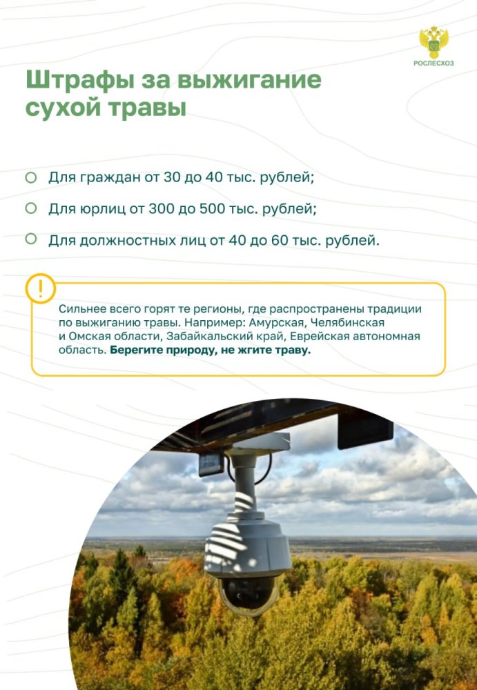Пожарная безопасность в лесу: преступление и наказание