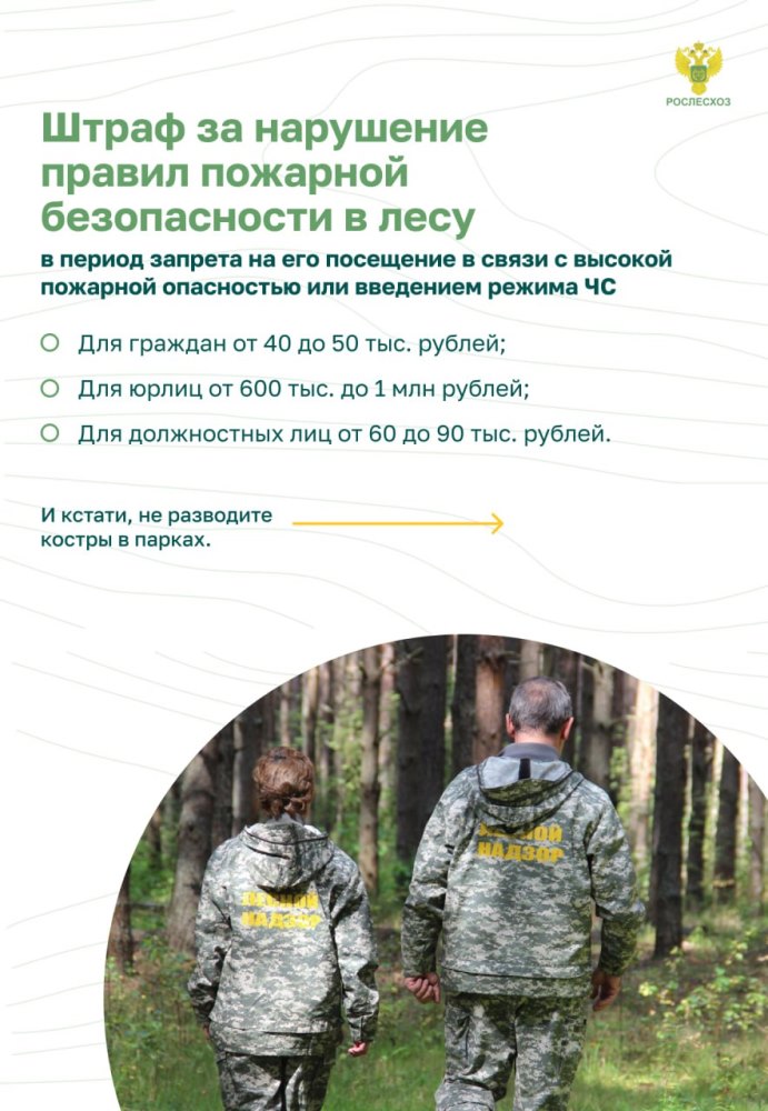 Пожарная безопасность в лесу: преступление и наказание