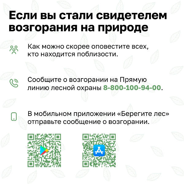 Природные пожары